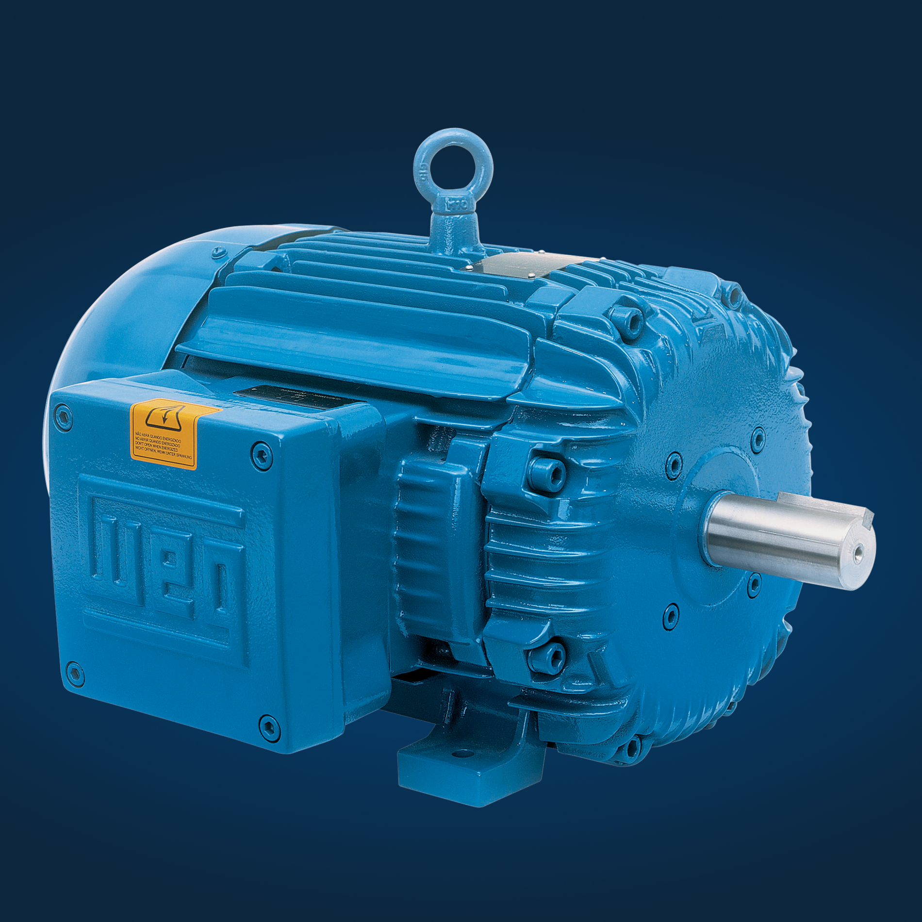 Explosion-proof motor with a cast-iron frame that is designed for hazardous industrial environments.