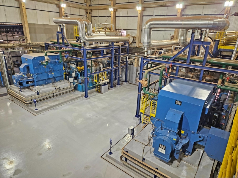 Industrial induction motor-driven equipment inside a manufacturing facility.