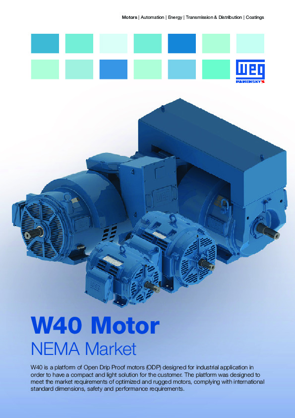 W40 Motor