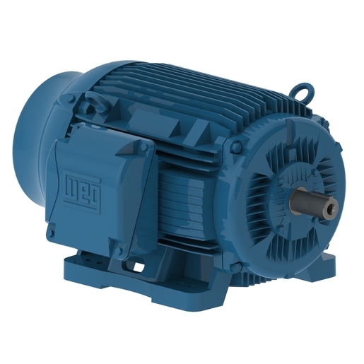 W22 NEMA Premium Efficiency 30 HP 8P 364/5T 3Ph 230/460//380 V 60//50 Hz IC411 - TEFC - Foot-mounted