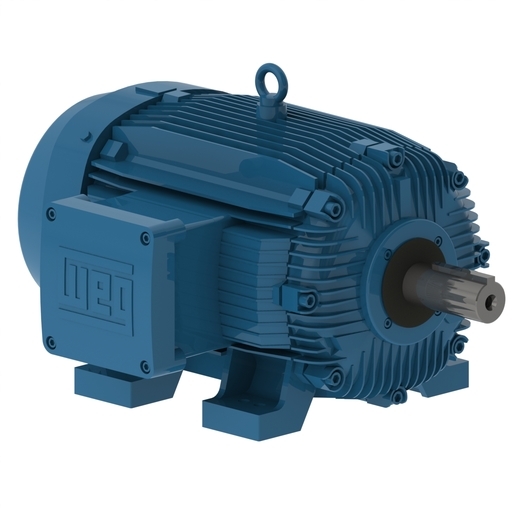 W21 Explosion-proof Motor NEMA Premium Efficiency 100 HP 4P 404/5T 3Ph 230/460//380 V 60//50 Hz IC411 - TEFC - Foot-mounted