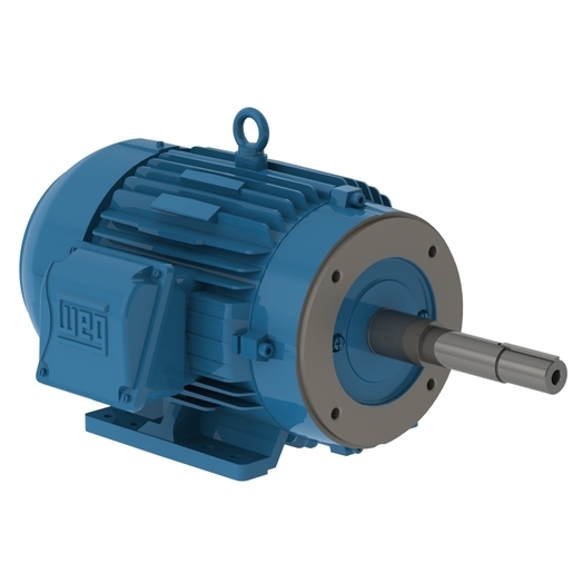 W22 Close Coupled Pump JP NEMA Premium Efficiency 10 HP 4P 213/5JP 3Ph 575 V 60 Hz IC411 - TEFC - Foot-mounted