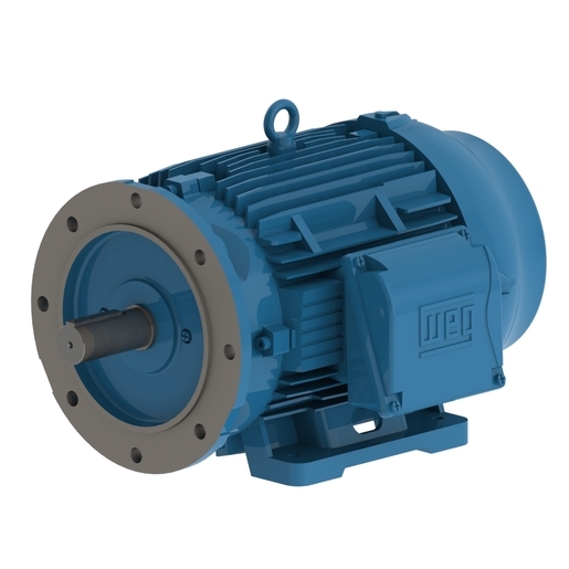 W22 Tru-Metric IE3 20 HP 4P 160L 3Ph 575 V 60 Hz IC411 - TEFC - B35L(E)