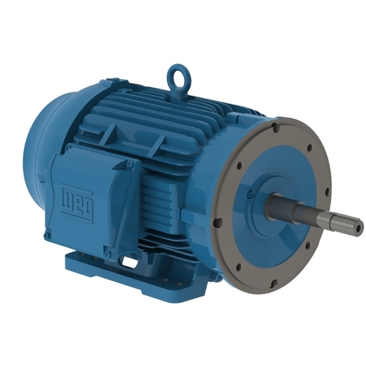 W22 Close Coupled Pump JP NEMA Premium Efficiency 25 HP 2P 284/6JP 3Ph 575 V 60 Hz IC411 - TEFC - Foot-mounted