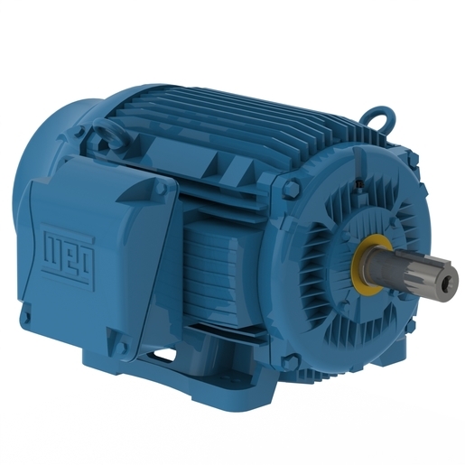 W22 IEEE 841 NEMA Premium Efficiency 5 HP 6P 213/5T 3Ph 200 V 60 Hz IC411 - TEFC - Foot-mounted
