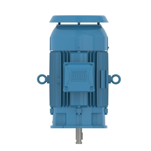 W22 P Base NEMA Premium Efficiency 3 HP 6P 213HP 3Ph 575 V 60 Hz IC411 - TEFC - Footless