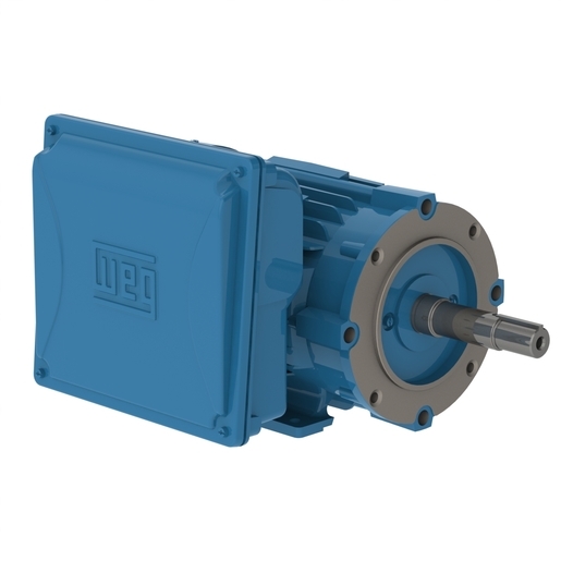 W22 JM Pump 1 HP 4P 143JM 1Ph 115/208-230 V 60 Hz IC411 - TEFC - Foot-mounted