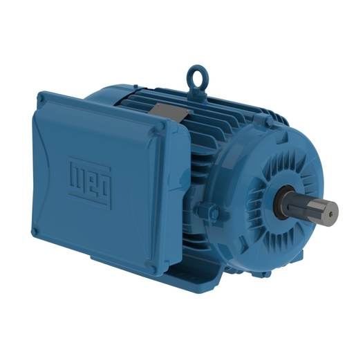 ELECTRIC MOTOR SINGLE PHASE 7.5 HP 04 213/5T 208-230 60Hz B3R(D) IP55 W22 WFF2