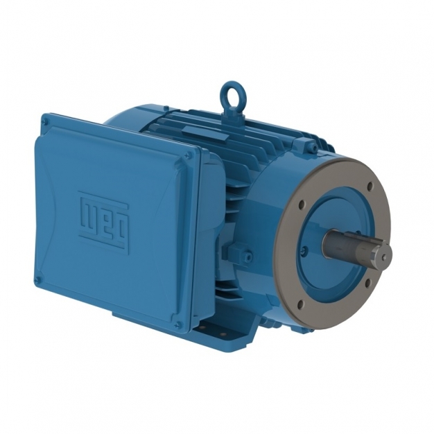 ELECTRIC MOTOR SINGLE PHASE 7.5 HP 04 213/5TC 208-230 60Hz B34R(D) IP55 W22 WFF2