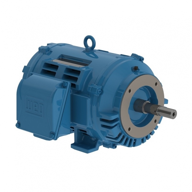Close Coupled Pump NEMA Premium Efficiency 15 HP 4P 254JM 3Ph 230/460 V 60 Hz IC01 - ODP - Foot-mounted