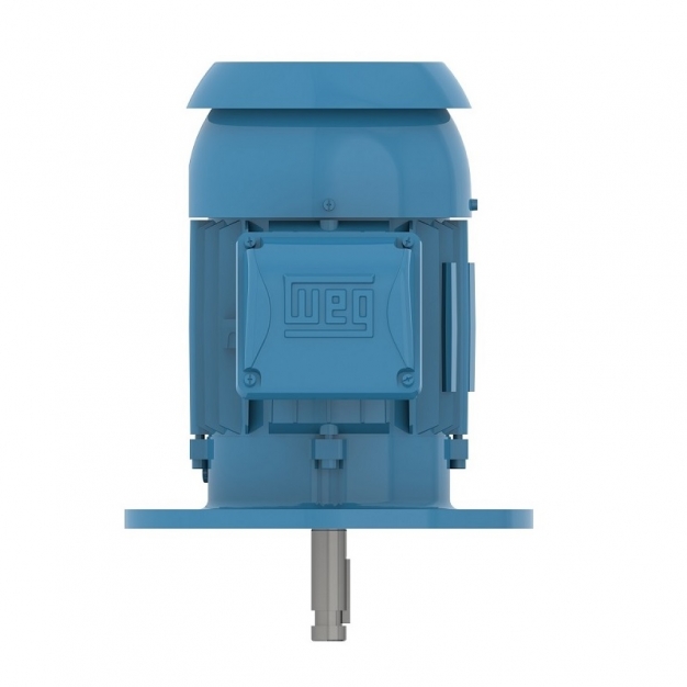 W22 P Base NEMA Premium Efficiency 1 HP 4P 143HP 3Ph 230/460//380 V 60//50 Hz IC411 - TEFC - Footless