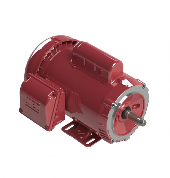 ELECTRIC MOTOR SINGLE PHASE 0.33 HP 04 W56C 115/230 WCF2 60Hz F-1/B34R(D) IP55 FARM DUTY IHP