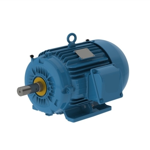 ELECTRIC MOTOR THREE PHASE 1 HP 06 143/5T 460 C/W 3 leads 60Hz B3L(E) IP56 IEEE 841 W22 NEMA PREMIUM EFFICIENCY WFF2