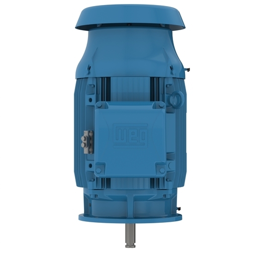 W22 P Base NEMA Premium Efficiency 125 HP 4P 444/5HP 3Ph 575 V 60 Hz IC411 - TEFC - Footless