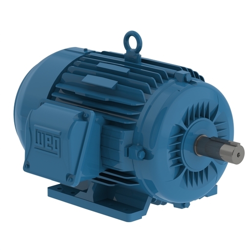 ELECTRIC MOTOR THREE PHASE 3 HP 02 182/4TD 575 C/W 6 leads 60Hz B35R(D) IP55 W22 NEMA PREMIUM EFFICIENCY WFF2