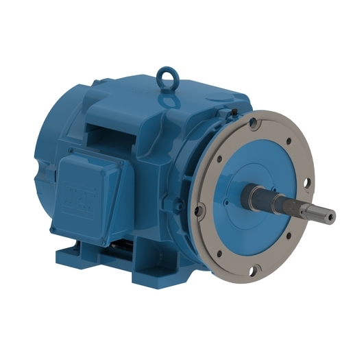 Close Coupled Pump NEMA Premium Efficiency 20 HP 4P 256JP 3Ph 575 V 60 Hz IC01 - ODP - Foot-mounted